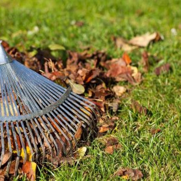 outdoor cleaning]